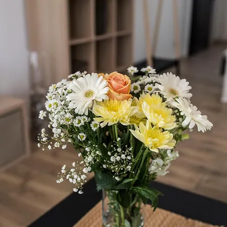 Mfapartments Vrbovec